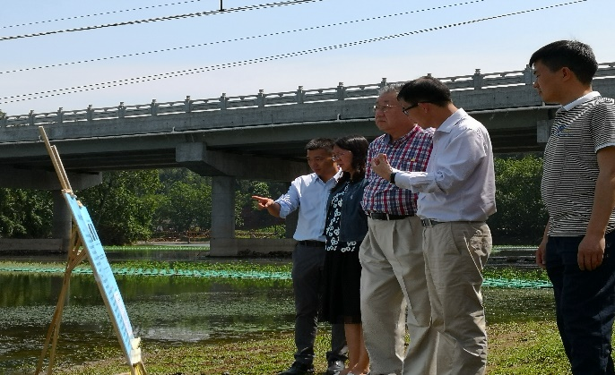王浩院士考察简阳阳化河项目.png
